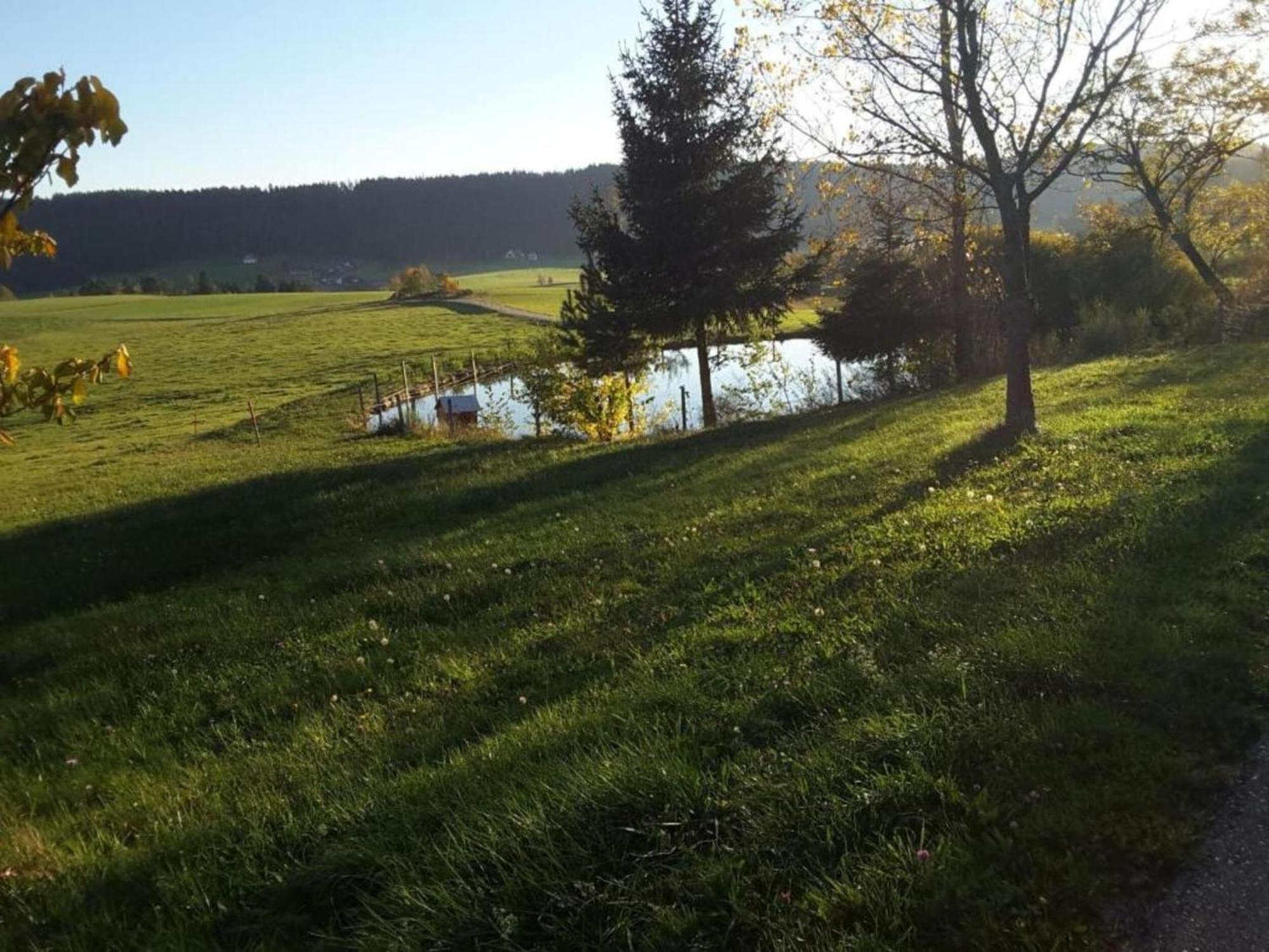 Charming Apartment In Regelsbach Near City Centre Schuttertal Екстериор снимка